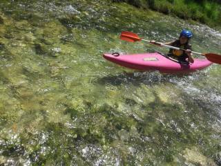 Campamento Alto Tajo Boletus